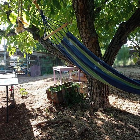 Beit Shapira Pension Kefar Shammay Buitenkant foto